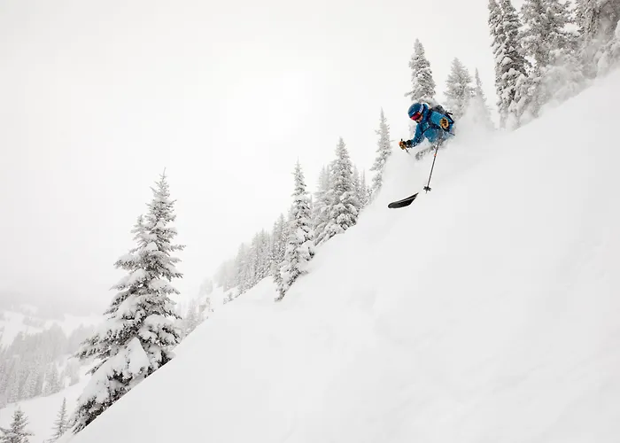 Sioux By Grand Targhee Lodge